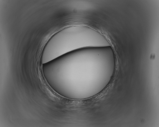X0000093520145200710121135