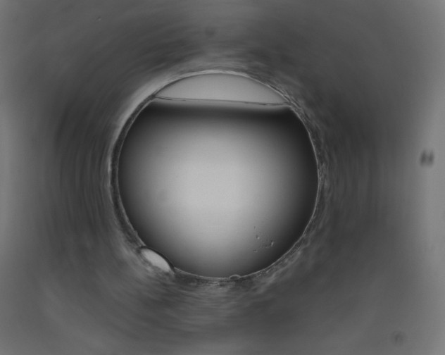 X0000093520148200710121135
