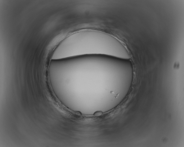 X0000093520149200710121135