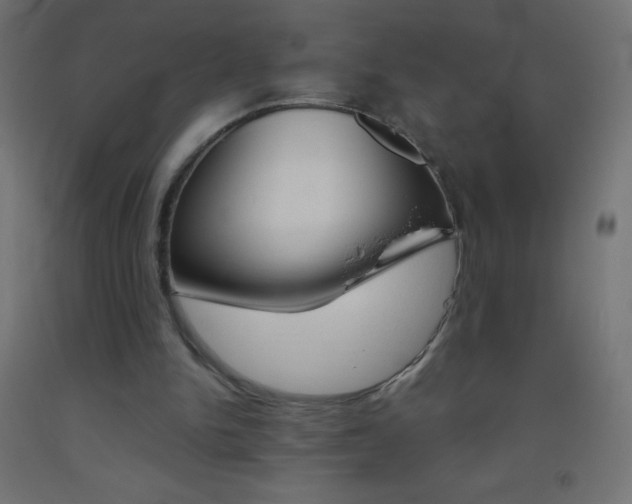 X0000093520150200710121135