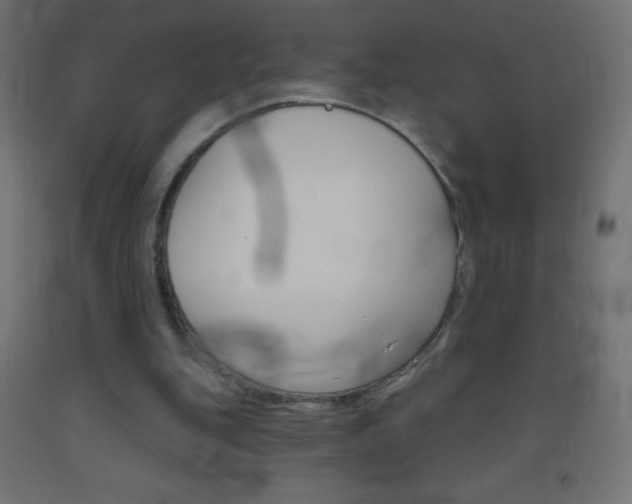 X0000093520151200710121135