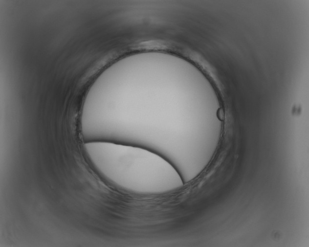 X0000093520153200710121135