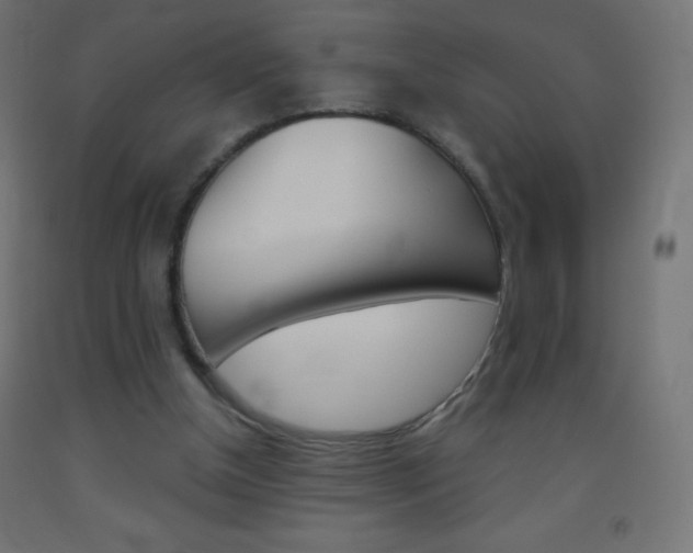 X0000093520154200710121135