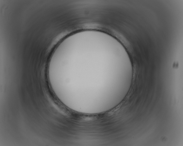 X0000093520155200710121135