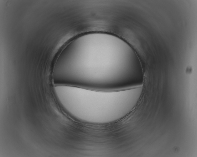 X0000093520156200710121135