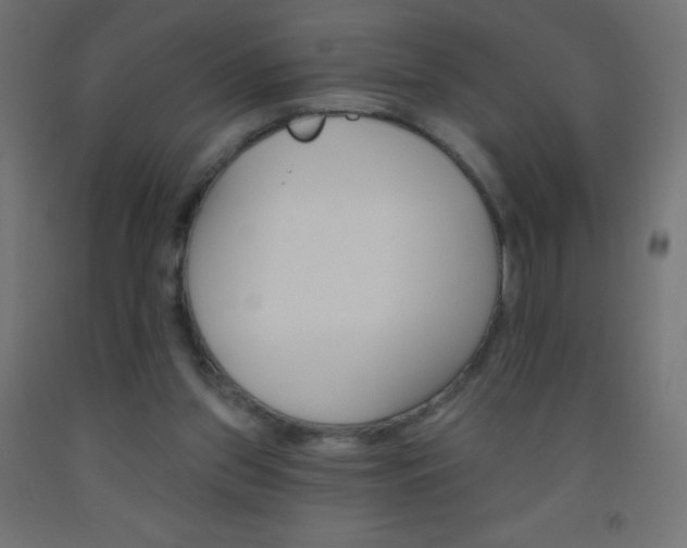 X0000093520157200710121135