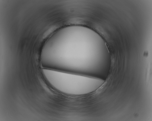 X0000093520158200710121135
