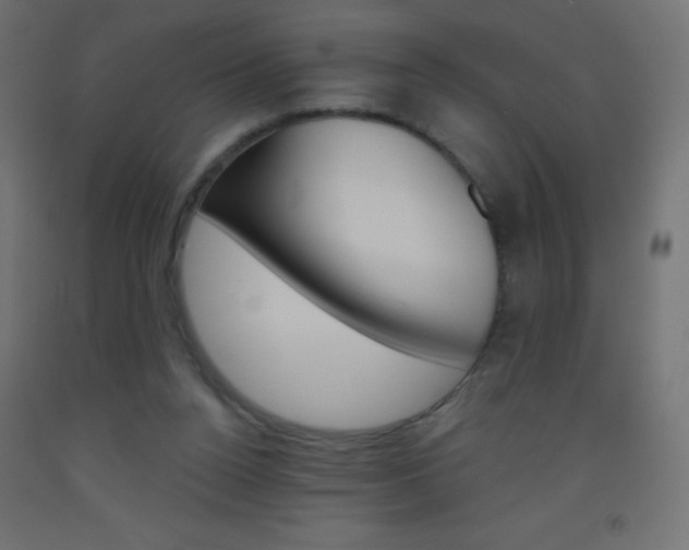 X0000093520160200710121135