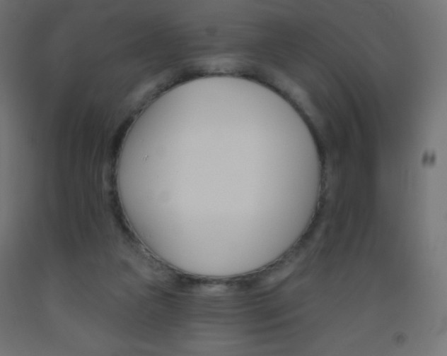 X0000093520161200710121135