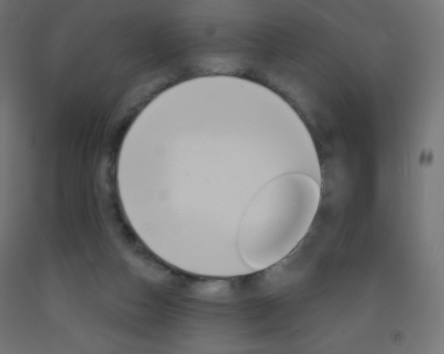 X0000093520162200710121135