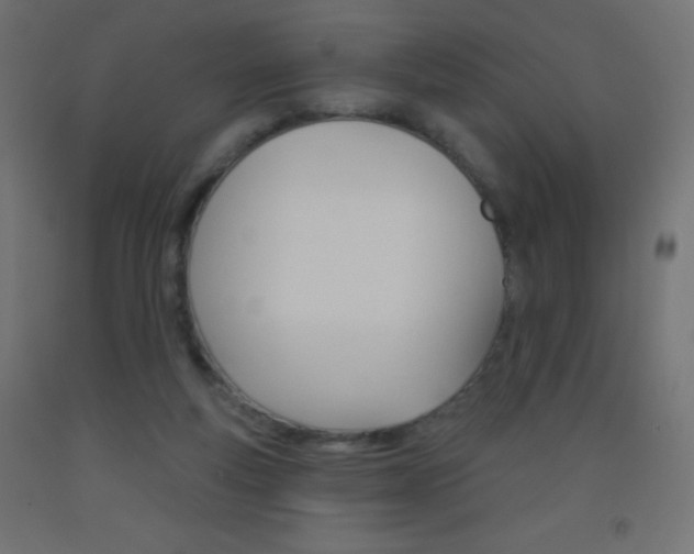 X0000093520163200710121135