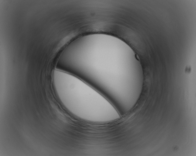 X0000093520164200710121135