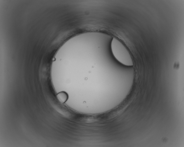 X0000093520165200710121135