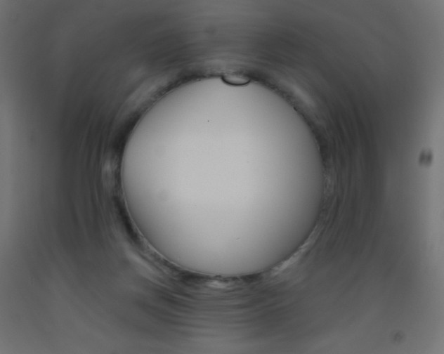 X0000093520166200710121135