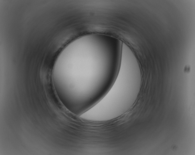 X0000093520168200710121135