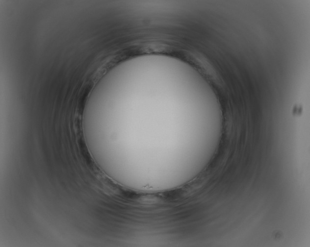 X0000093520169200710121135