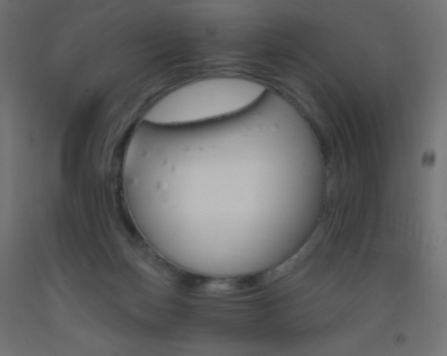 X0000093520171200710121135