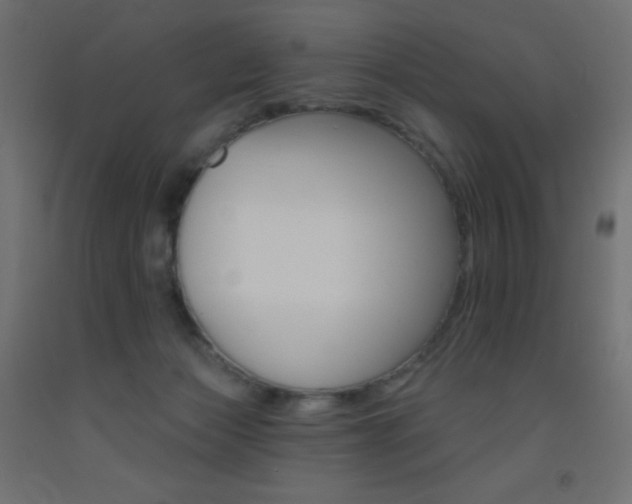 X0000093520173200710121135