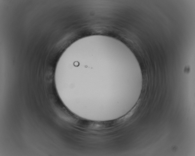 X0000093520174200710121135