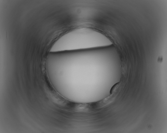 X0000093520175200710121135
