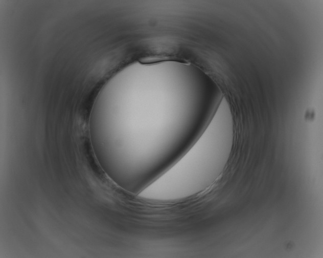 X0000093520176200710121135