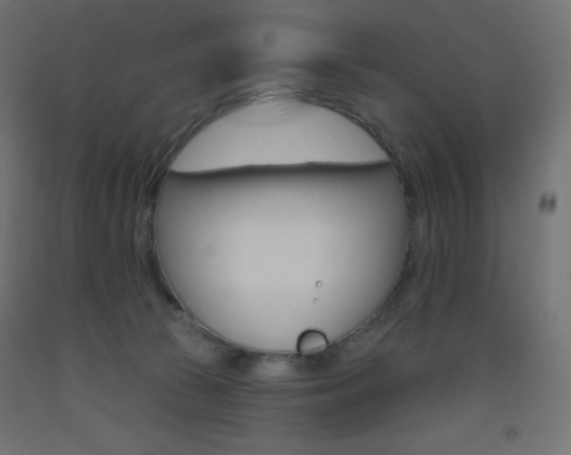 X0000093520177200710121135