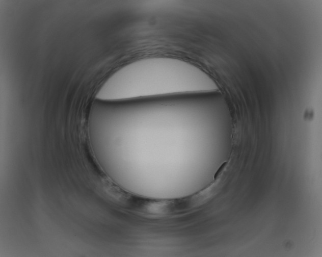 X0000093520178200710121135