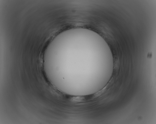 X0000093520179200710121136
