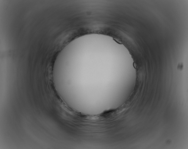 X0000093520181200710121136