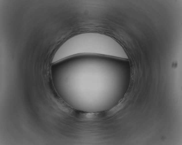 X0000093520184200710121136