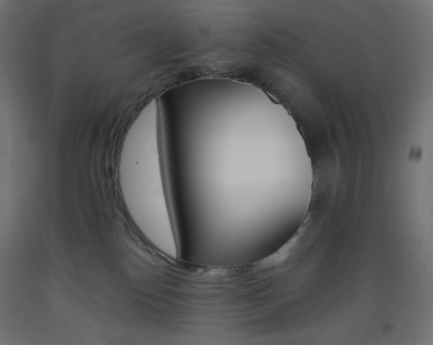X0000093520186200710121136