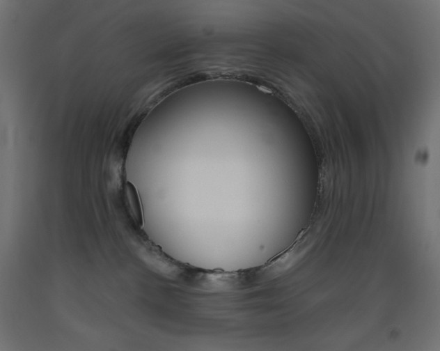 X0000093520188200710121136