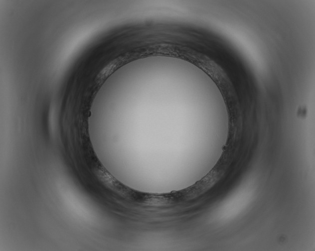 X0000093520189200710121136