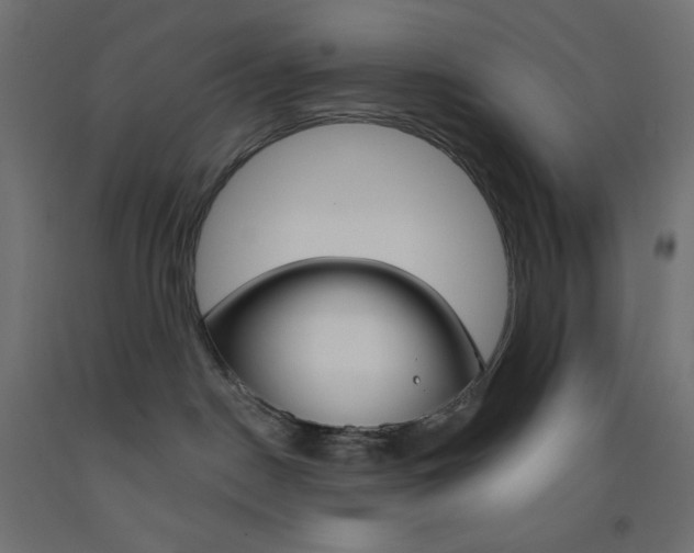 X0000093520190200710121136