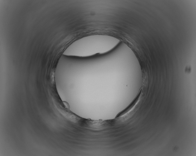X0000093520191200710121136