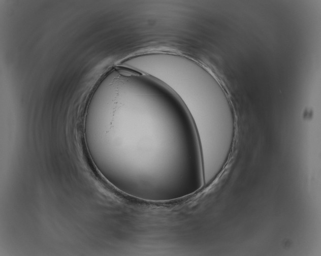 X0000093520193200710121135