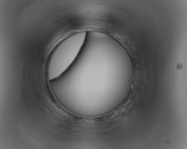 X0000093520194200710121135