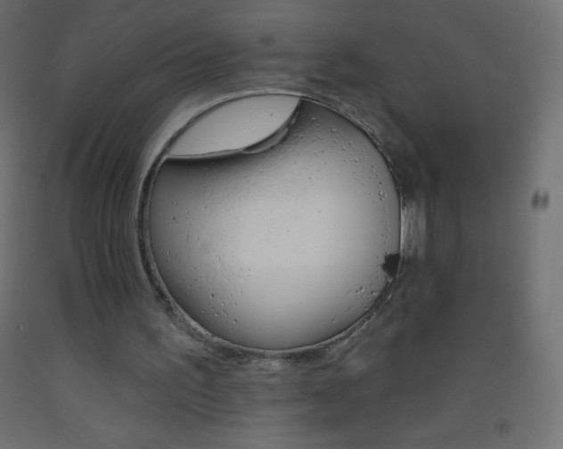 X0000093520195200710121135