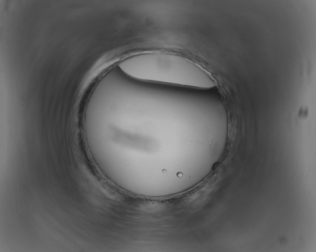 X0000093520198200710121135