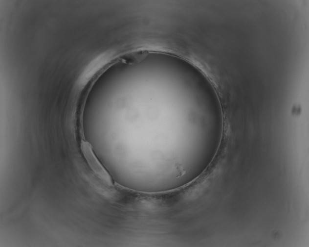 X0000093520199200710121135