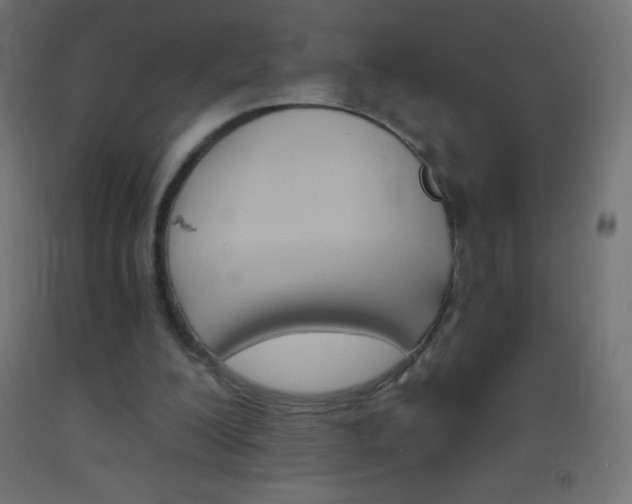 X0000093520200200710121135