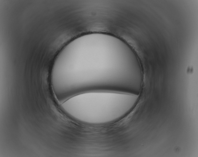 X0000093520201200710121135