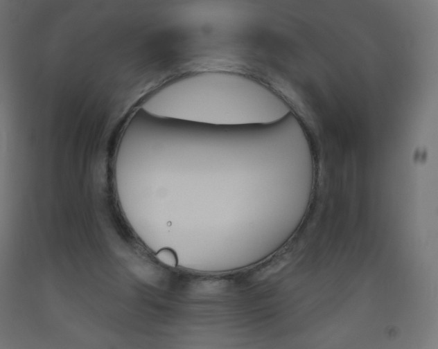 X0000093520202200710121135