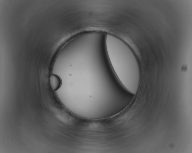X0000093520204200710121135