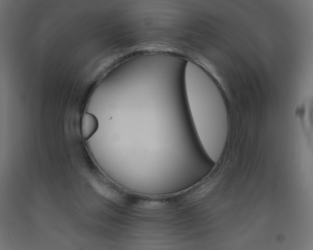 X0000093520205200710121135
