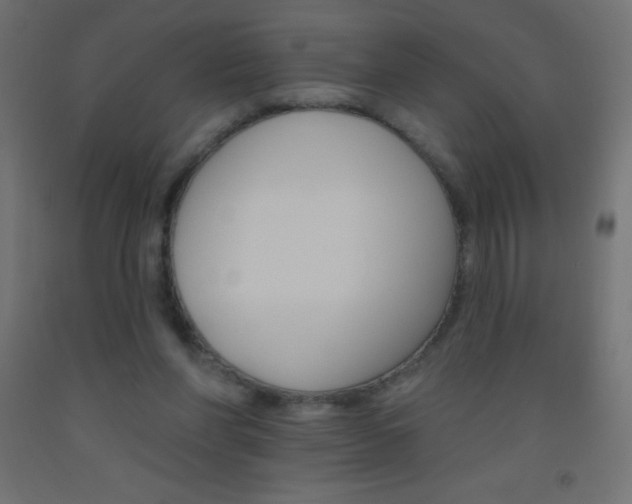 X0000093520206200710121135