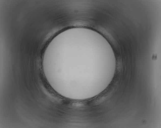 X0000093520208200710121135
