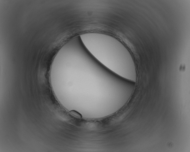 X0000093520209200710121135