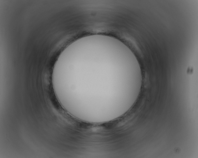 X0000093520210200710121135
