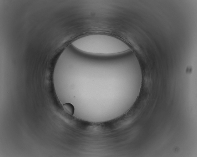 X0000093520211200710121135